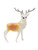 Plastic Reindeer Christmas Cake Decorations - Bulk Bag of 50