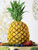 Tropical Pineapple - Karen Davies Mould