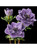 purple flowers made from Sugar Flower Studio - Premium Flower Paste