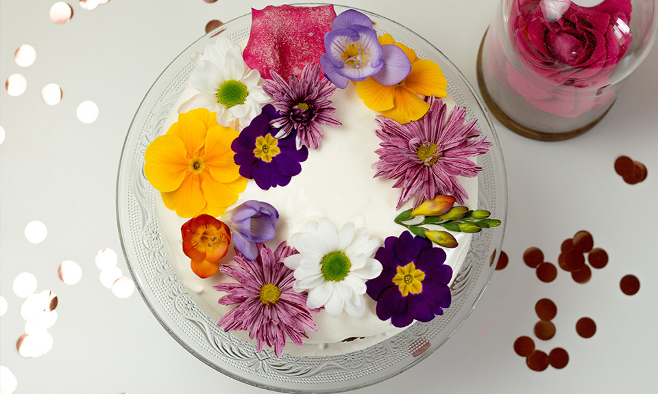 Edible Pastel Spring Floral Collection - Wild Blossoms Studio