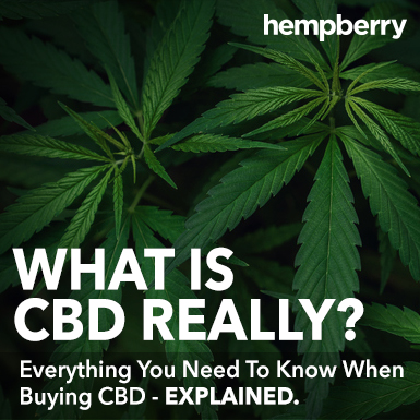 What Is CBD Really? - Hemp Berry - Corporate Office