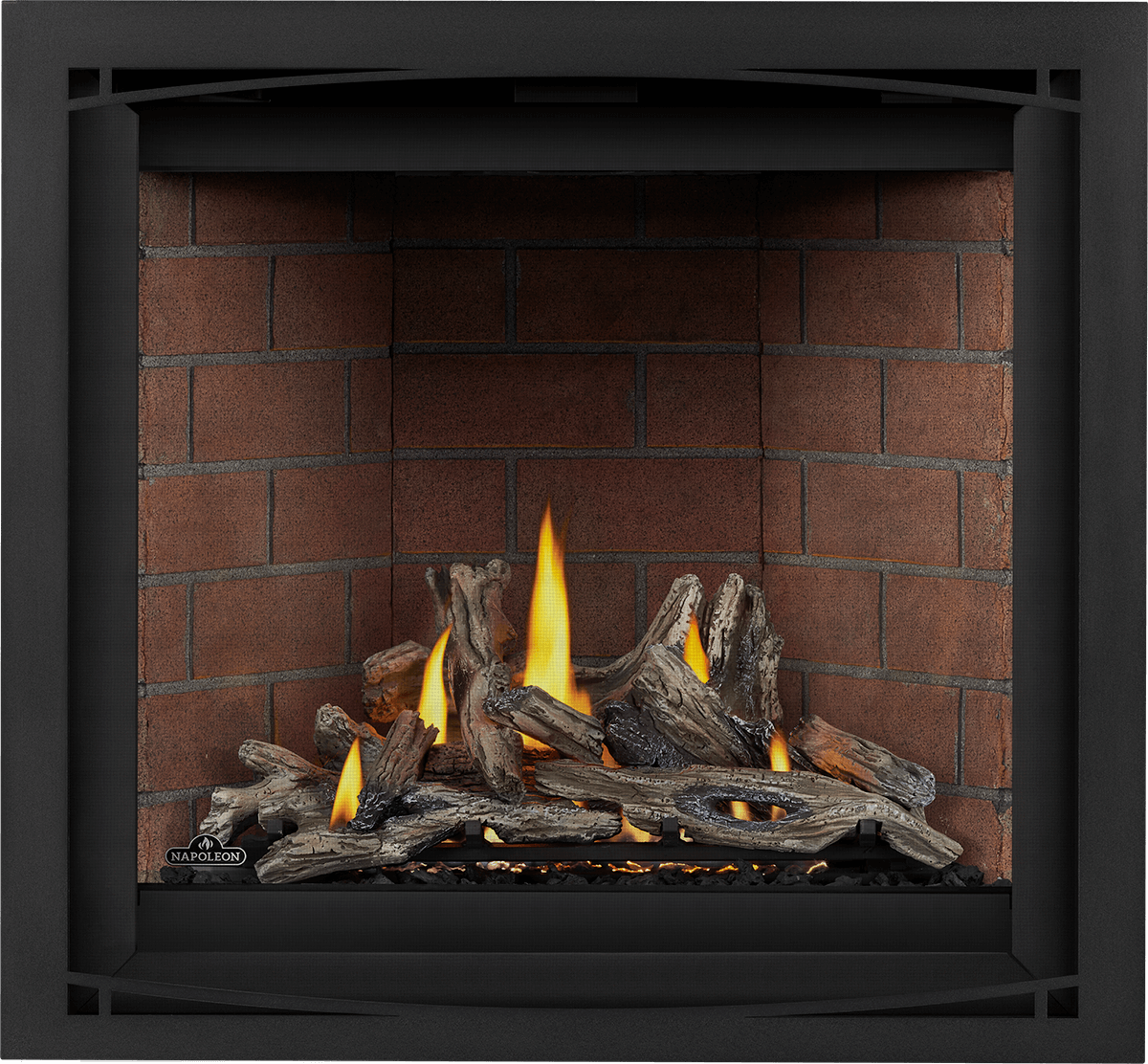 Napoleon Elevation X 36 Direct Vent Propane Gas Fireplace – NYC Fireplaces  & Outdoor Kitchens