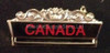  Royal Arch  3 Bar Members  Breast Jewel  