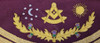  Scottish  Past Master Apron Burgundy red  