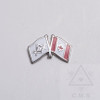 Masonic Flag  lapel Pin