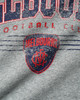 Melbourne Demons W23 Grey Distressed Print Hoodie