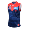 Melbourne Demons 2024 ANZAC Day Eve Guernsey
