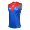 Melbourne Demons 2023 Player Edition Guernsey