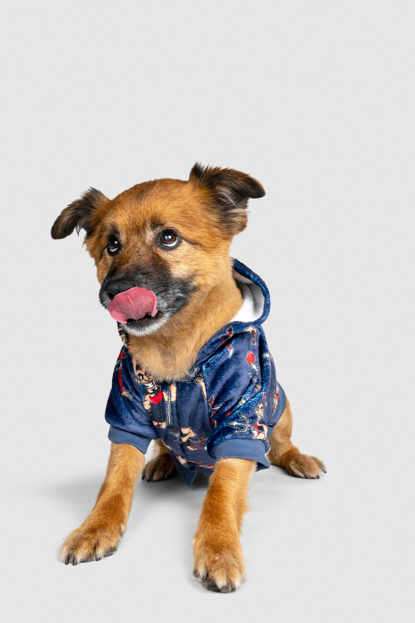 Jean Jacket Petco Dog Jackets Reddy Denim Jacket For Dogs, Large