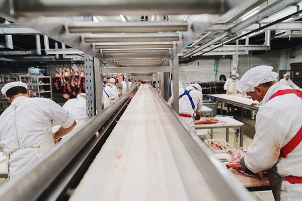 Food & General Purpose