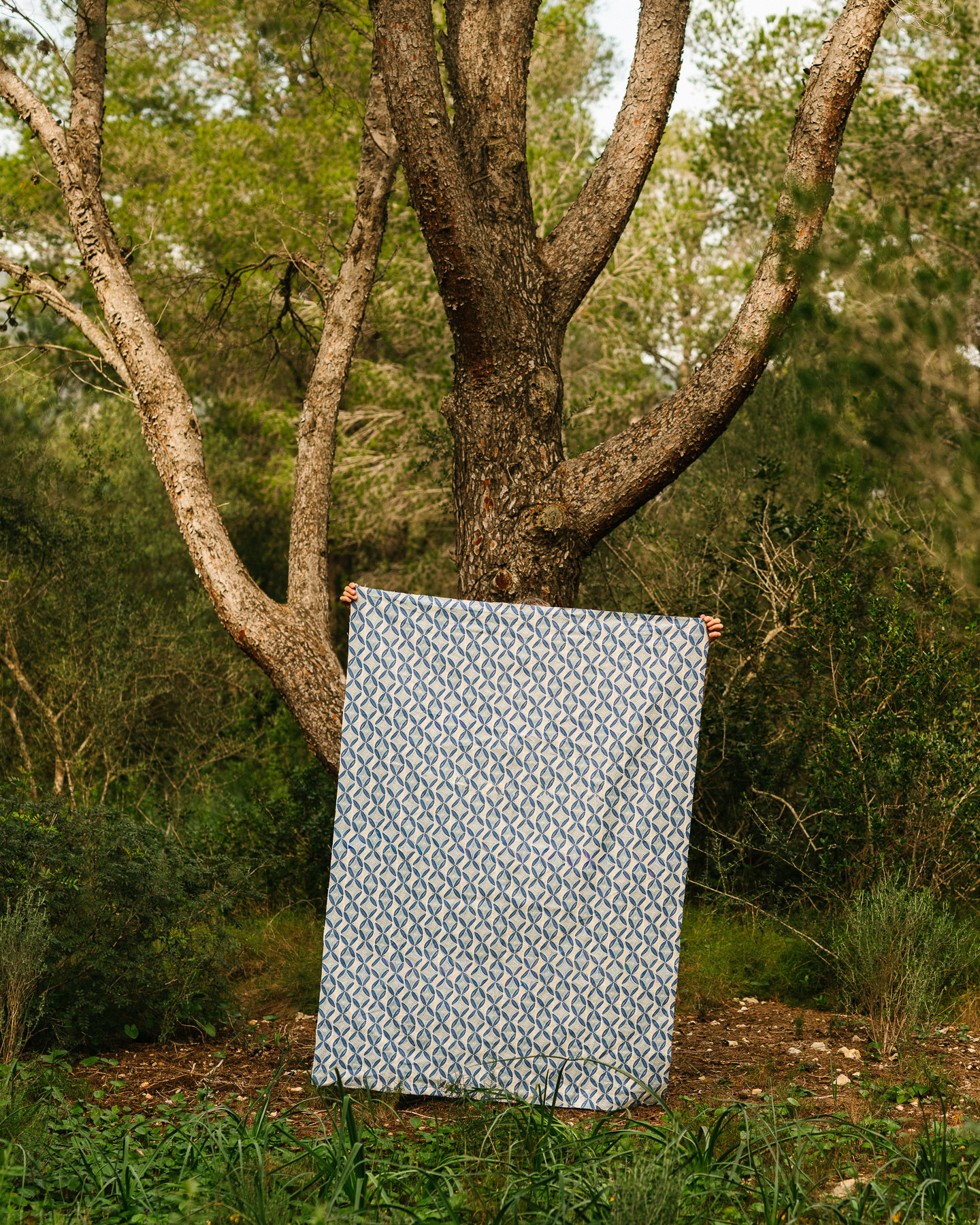 A whimsical Garden of Delights: The Olaf Hajek Collection