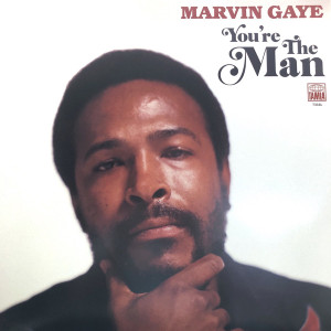 MARVIN GAYE - YOU'RE THE MAN (2xLP)