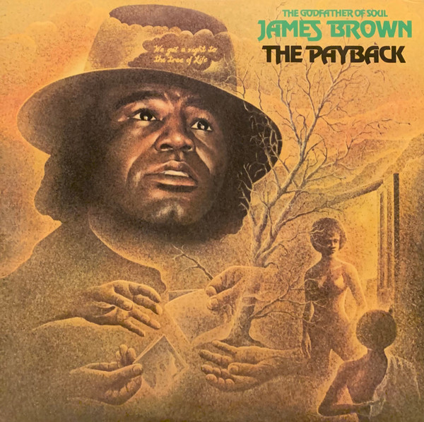JAMES BROWN - THE PAYBACK	(2xLP)