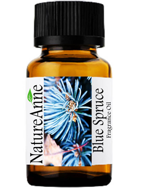 Blue Spruce  Premium Grade Fragrance Oil  - 10ml 