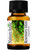 Rosemary Mint Premium Grade Fragrance Oil  - 10ml 