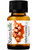 Salted Caramel Premium Grade Fragrance Oil  - 10ml 