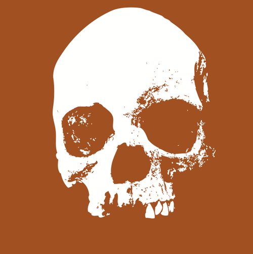 image free vector logo graphic skull