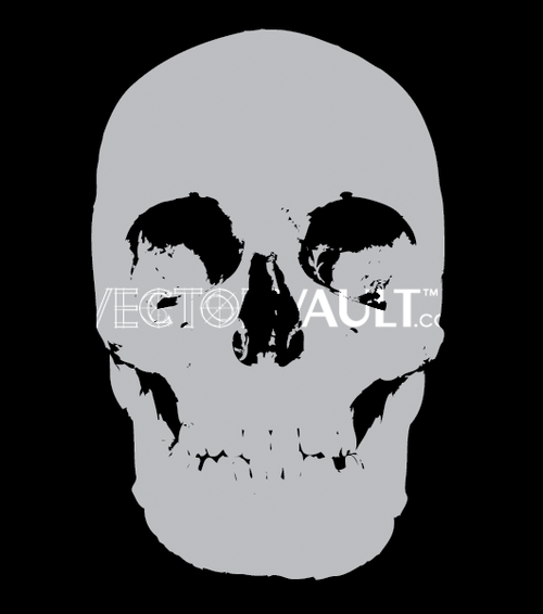 image buy vector human skull facing forward