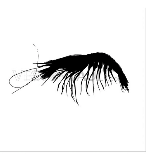 buy vector shrimp silhouette image