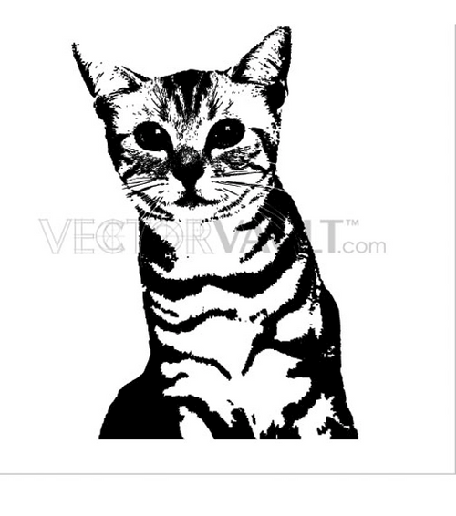 buy vector tabby cat image