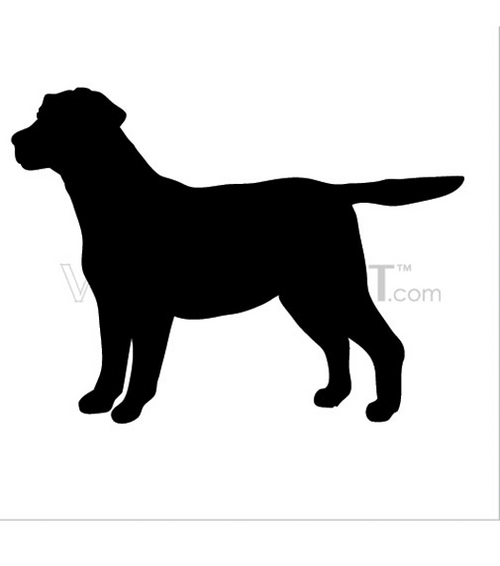 buy vector cocker spaniel silhouette image