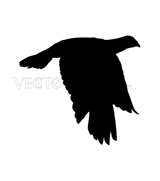 buy vector bird silhouette graphics clip art free vectors