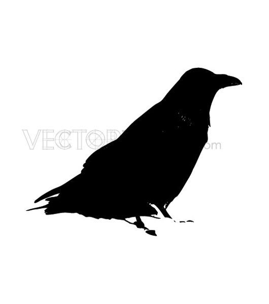 buy vector graphics art vectors clip art crow raven magpie