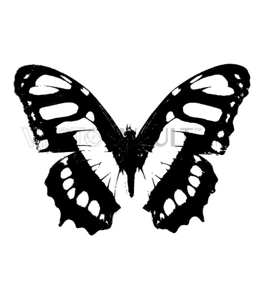 buy vector graphics art vectors clip art butterfly monarch