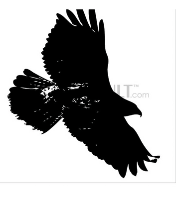 Buy vector soaring hawk illustration royalty-free