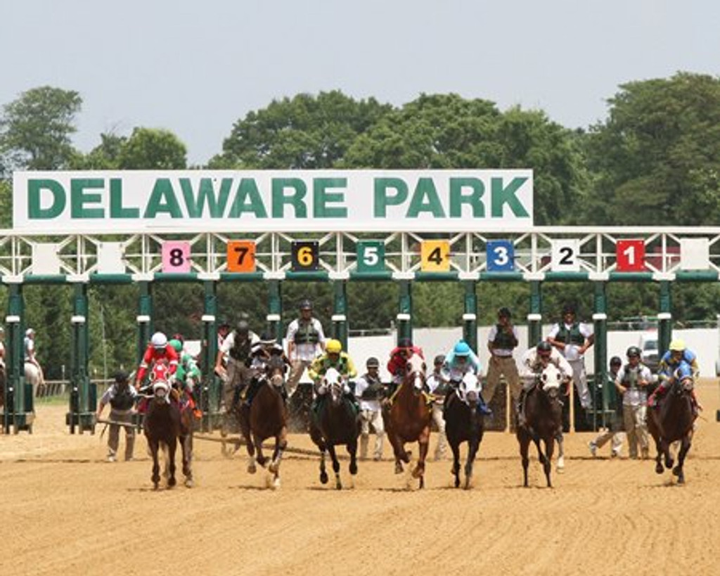 Delaware Park: The Hidden Gem of the Diamond State