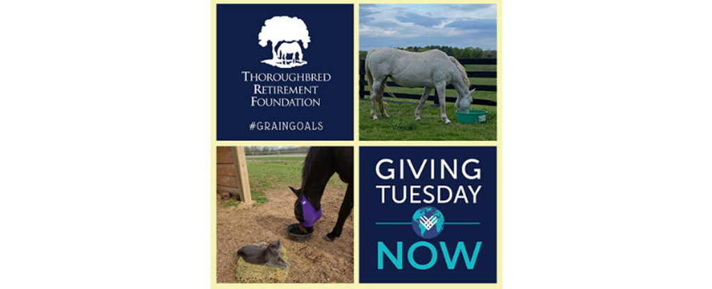 TRF Giving Tuesday Now
