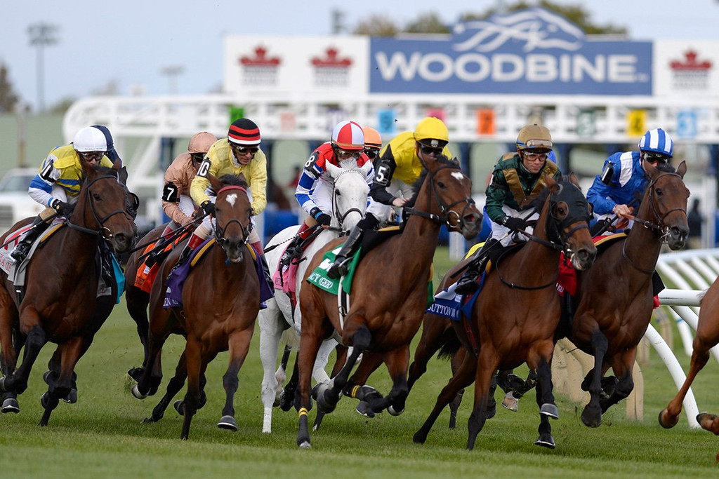 ​Woodbine Racetrack - Taylor's Giant of the North