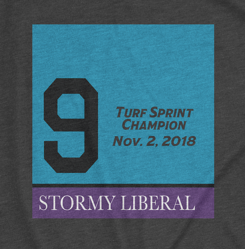 Stormy Liberal Saddlecloth