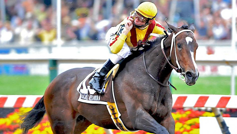 A Look Back at Successful "New Shooters" in the Preakness Stakes