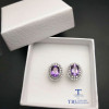 TBJ,Classic dianna clasp earrings with natural amethyst