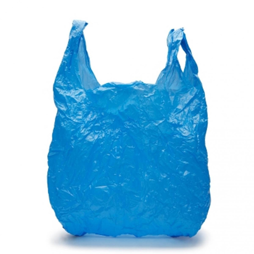 plastic bag handbag