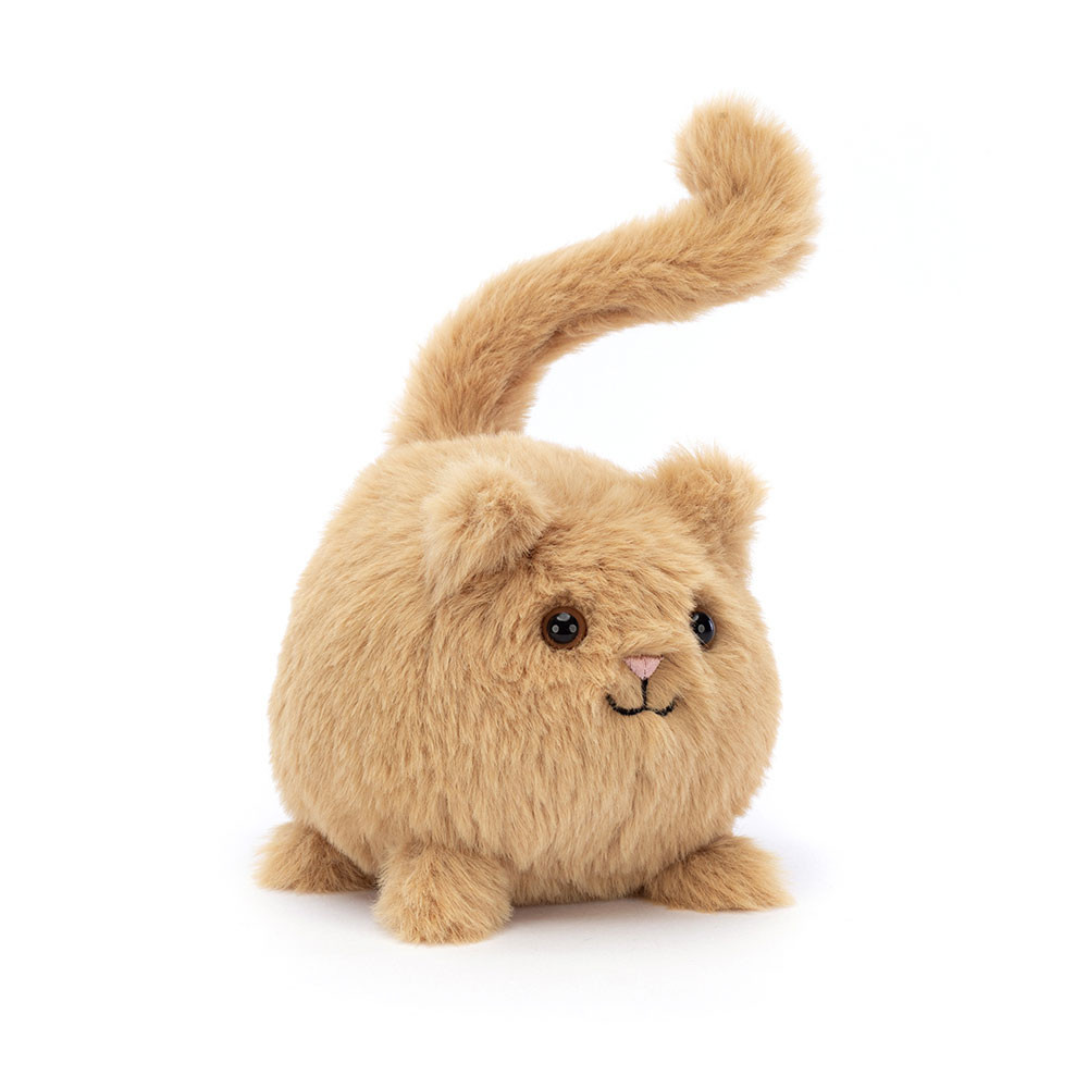 Kitten Caboodle Ginger, Main View