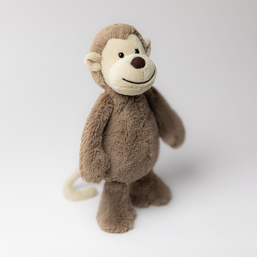 Bashful Monkey
