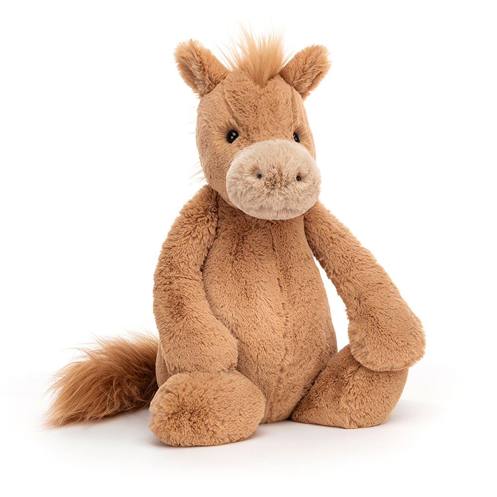 Bashful Pony Big, Main View