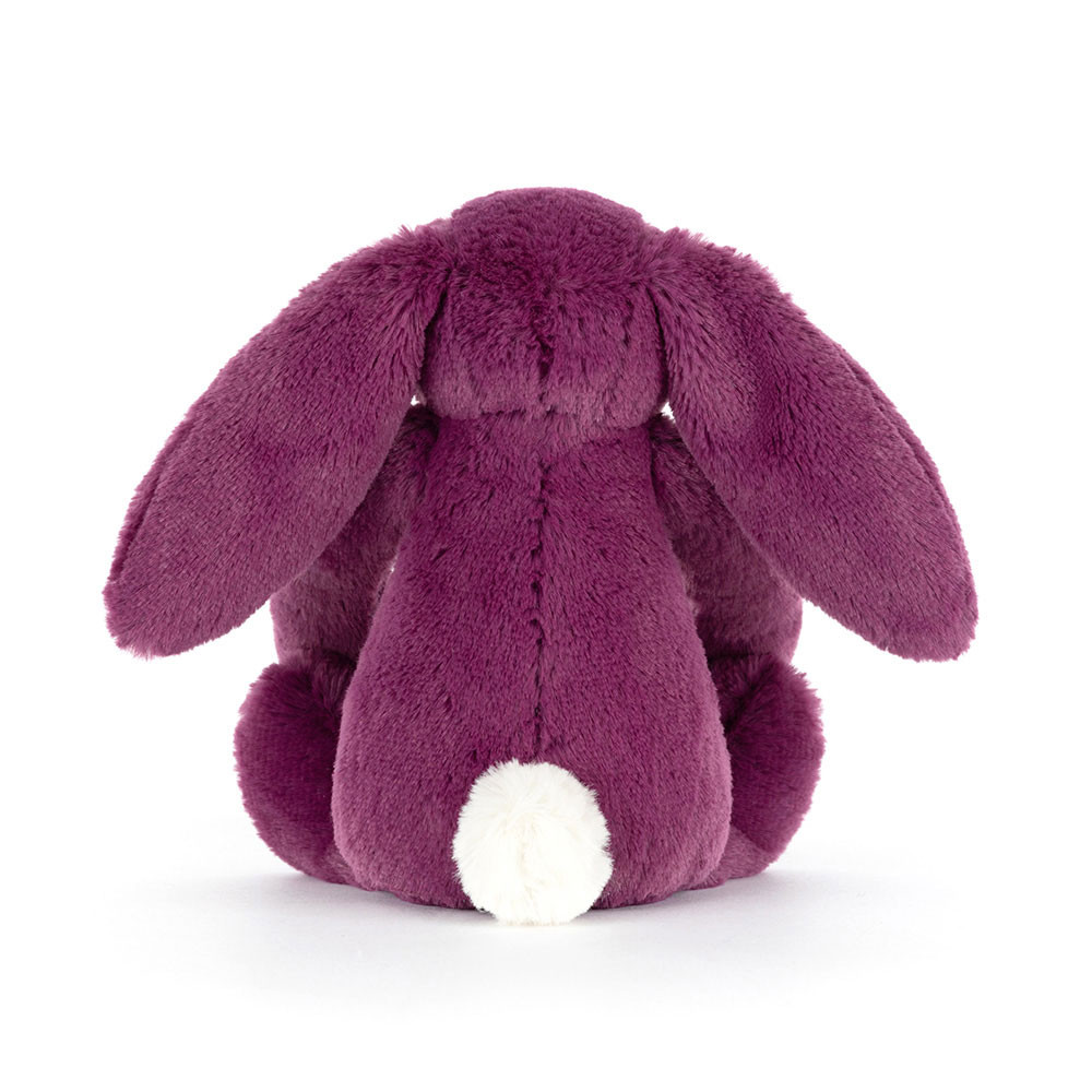 Bashful Bunny Allium Little, View 3