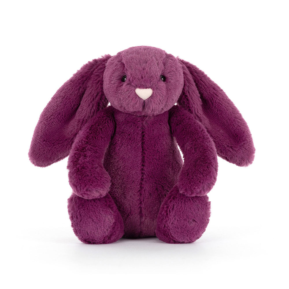 Bashful Bunny Allium Little, View 4