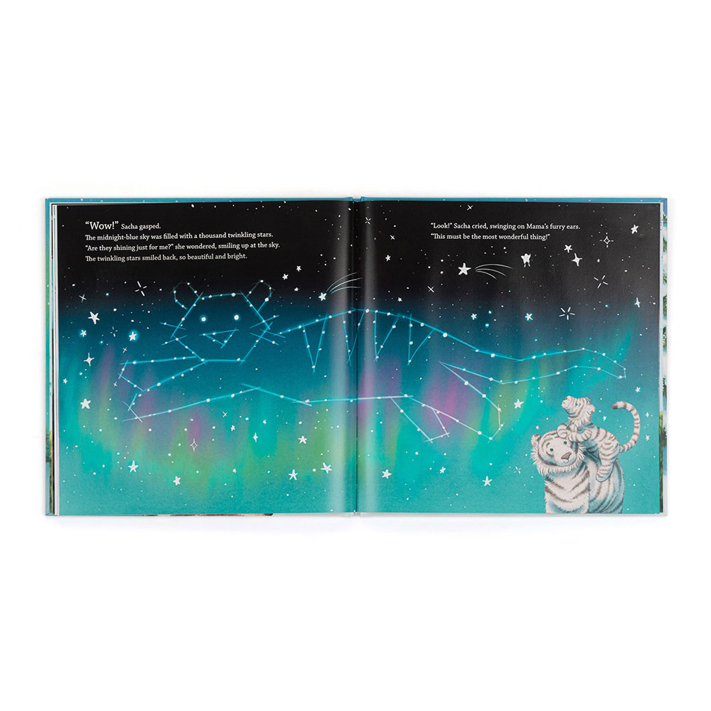 Sacha and the Most Wonderful Thing Book, View 3 