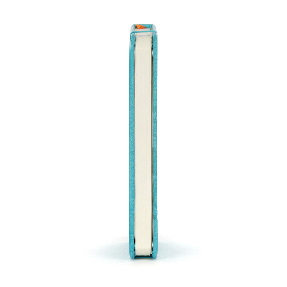 A6 Clear Skies Notebook, View 2