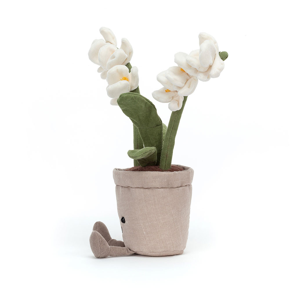 Amuseables Cream Orchid, Main View