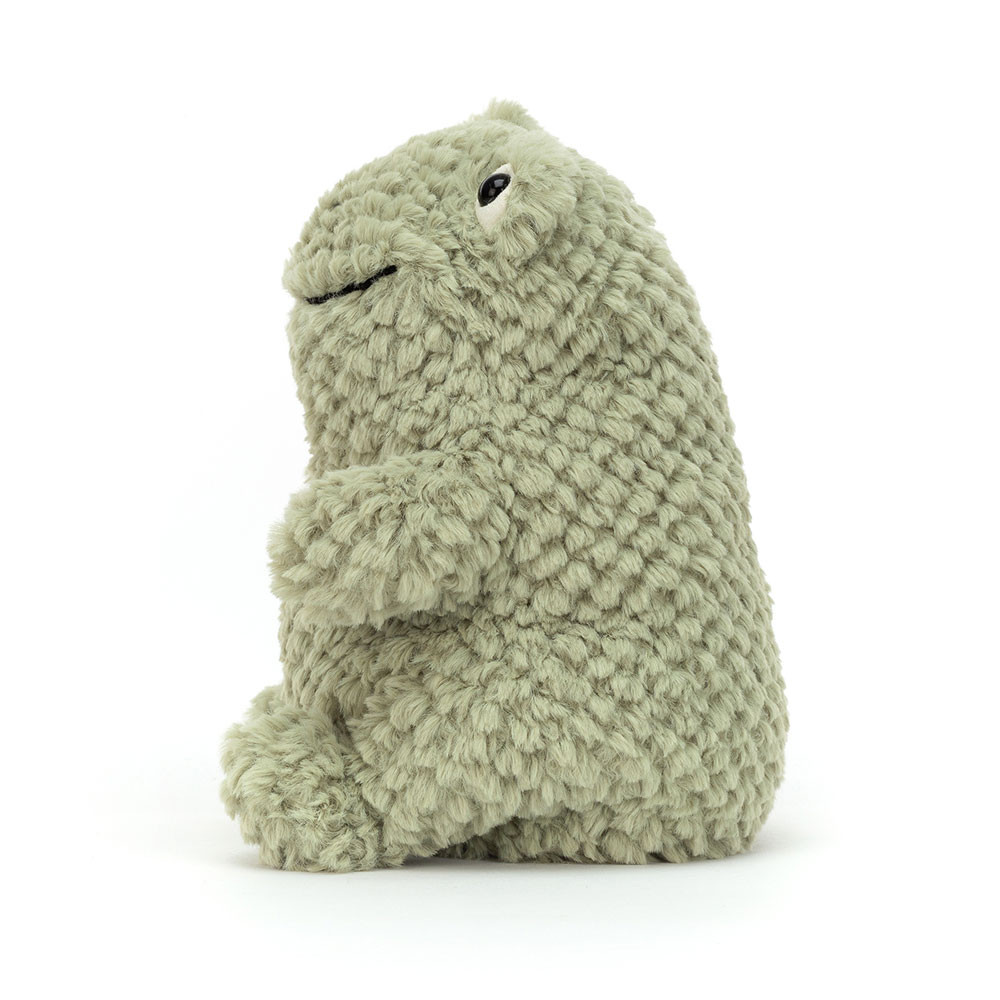Flumpie Frog, Main View