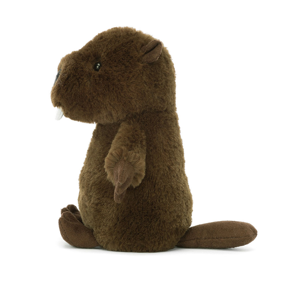 Nippit Beaver, View 2