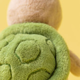 Thimble Turtle, View 1
