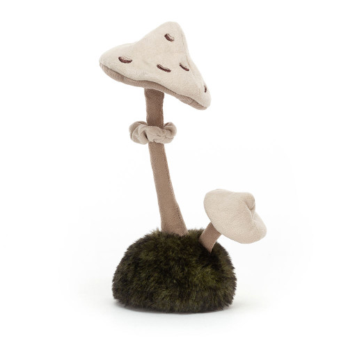 Wild Nature Parasol Mushroom, Main View