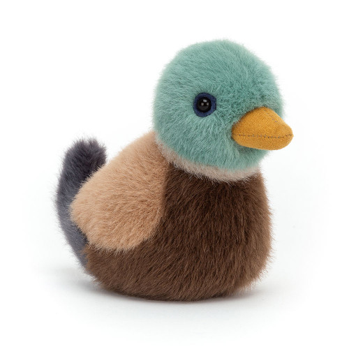 Birdling Mallard, Main View
