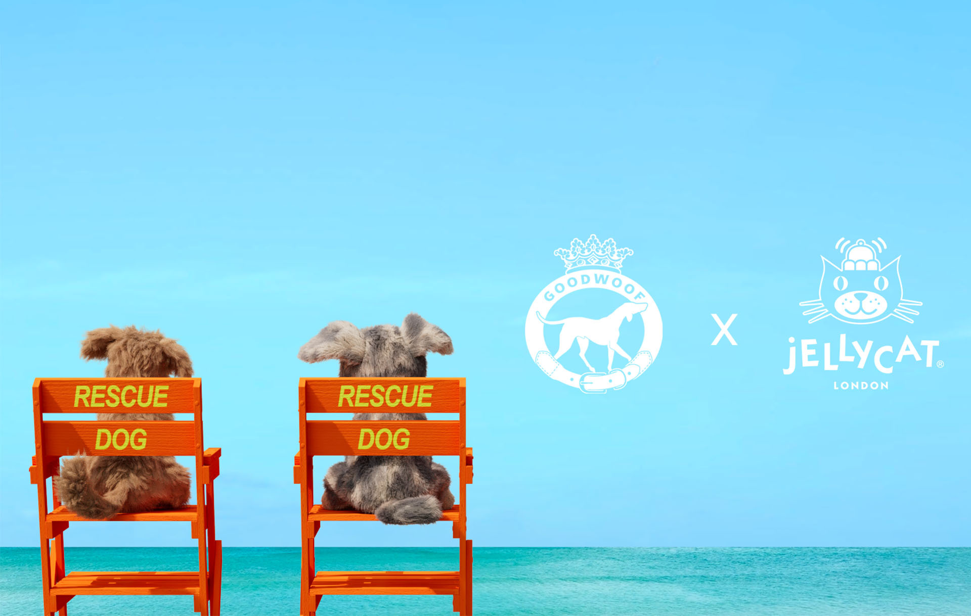 Jellycat Rescue Dog Pop-up Goodwoof